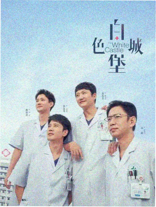 追风电影网经典法庭悬疑片无声的证人海报